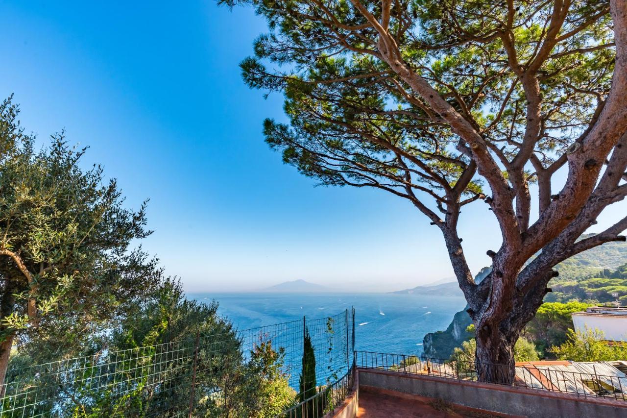 Capri Turquoise By Napoliapartments Eksteriør bilde